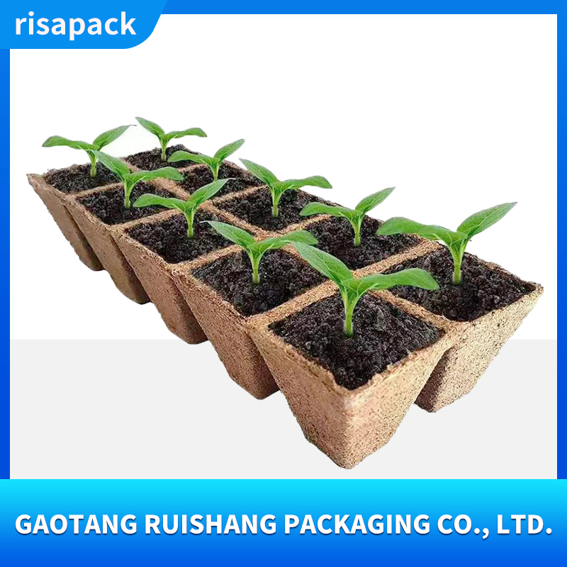 Multi-cell seedling cup