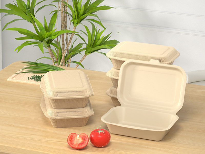Disposable Sugarcane Pulp Lunch Box with Flip Lid